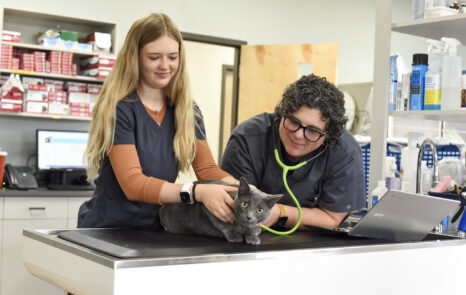 Client Support Services